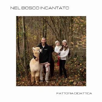 Nel Bosco Incantato by Qb Sound