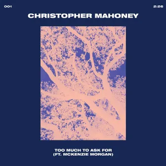 TOO MUCH TO ASK FOR by Christopher Mahoney