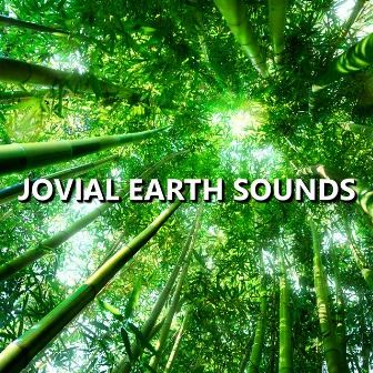 Jovial Earth Sounds by Earth Sounds