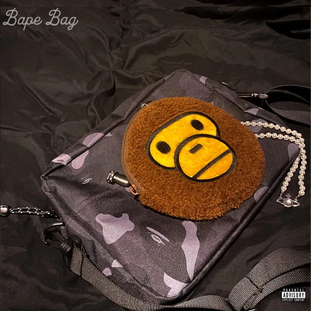 bape bag