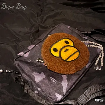 bape bag by vjac0b