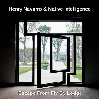 Escape from Fly by Lodge by Native Intelligence