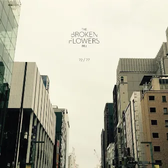 72 / 77 by The Broken Flowers Project