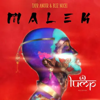 Malek by Tayr Anour