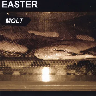 Molt by Easter