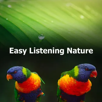 Easy Listening Nature by HD Nature Sound Library