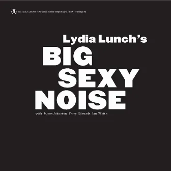 Big Sexy Noise by Lydia Lunch