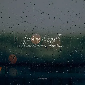 Soothing Loopable Rainstorm Collection by The Rainforest Collective