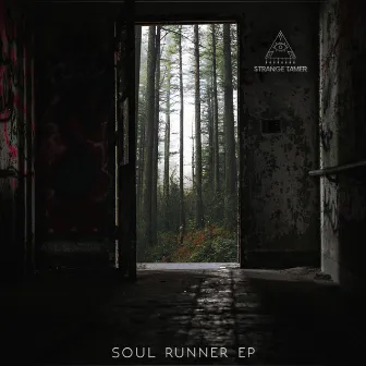 Soul Runner by Strange Tamer