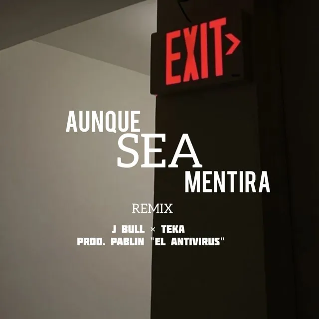 Aunque Sea Mentira - Remix