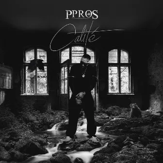 Calité by Ppros