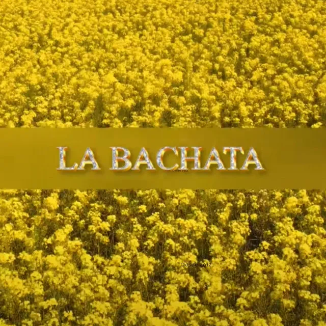 La Bachata