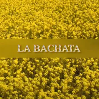 La Bachata by Mambo Ranchero