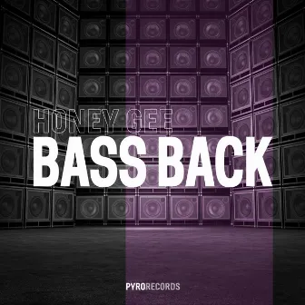 Bass Back by Honey Gee