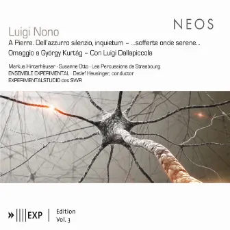 Nono: A Pierre. Dell'azzurro silenzio, inquietum2 by Detlef Heusinger