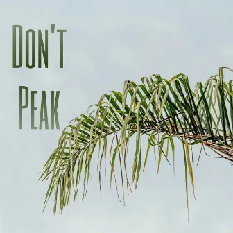 Don't Peak by Alva Alsie