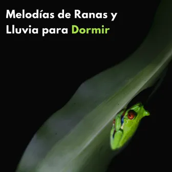 Melodías De Ranas Y Lluvia Para Dormir by Radio 1 Pajaros y Ranas