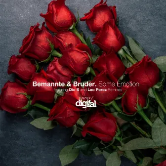 Some Emotion by Bemannte & Bruder