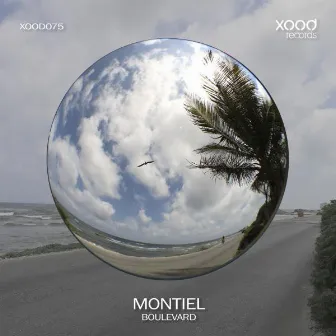 Boulevard by Montiel