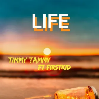 Life by Timmy Tammy