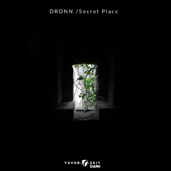 Secret Place by Dronn