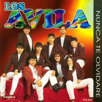 Nunca Te Olvidaré by Los Avila