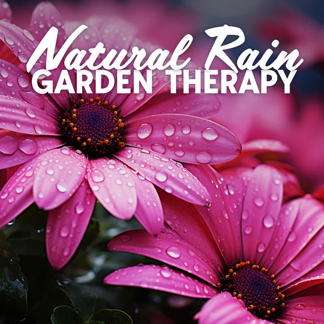 Natural Rain Garden Therapy