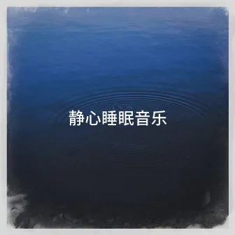 静心睡眠音乐 by Unknown Artist