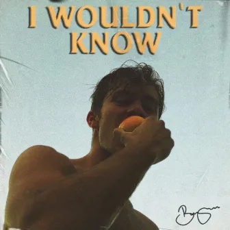 I Wouldn't Know by Benjamin Ingrosso