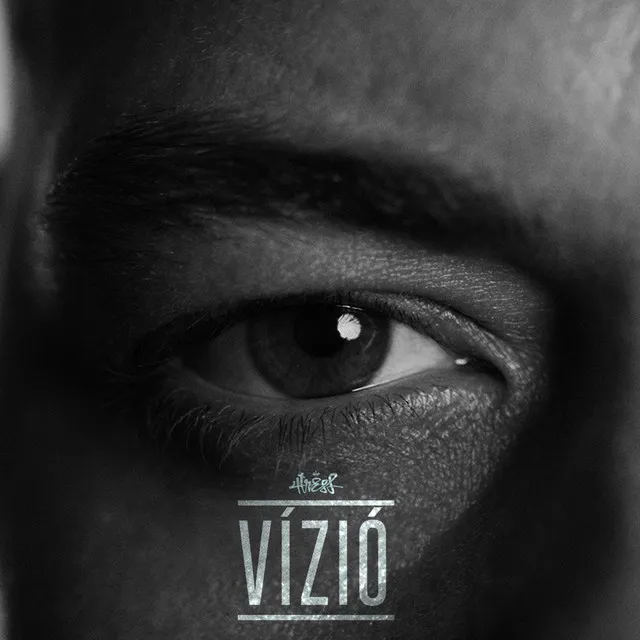 Vízió