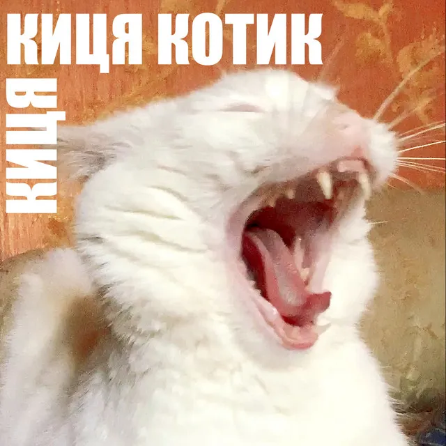 КИЦЯ КИЦЯ КОТИК