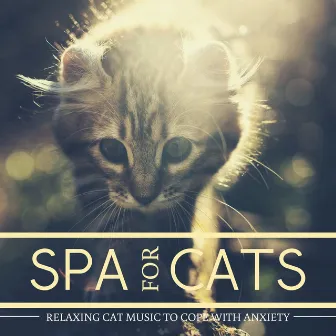 Spa for Cats - Relaxing Cat Music to Cope with Anxiety by Spa Life