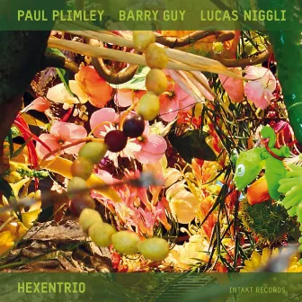 Hexentrio by Paul Plimley