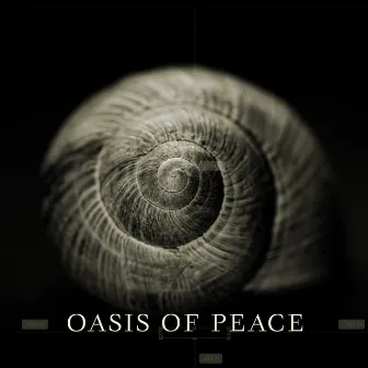 Oasis of Peace by Peter Ries