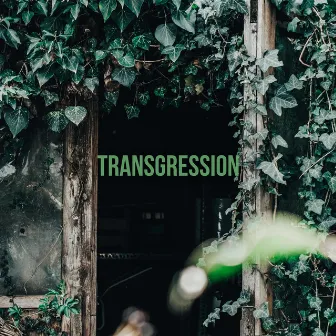 Transgression by Miles Kvndra