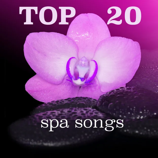 Top 20 Spa Songs: Sleeping Music, Meditation Tunes, Massage Music, Healing and Soothing