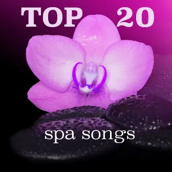 Top 20 Spa Songs: Sleeping Music, Meditation Tunes, Massage Music, Healing and Soothing by Purification Sandra