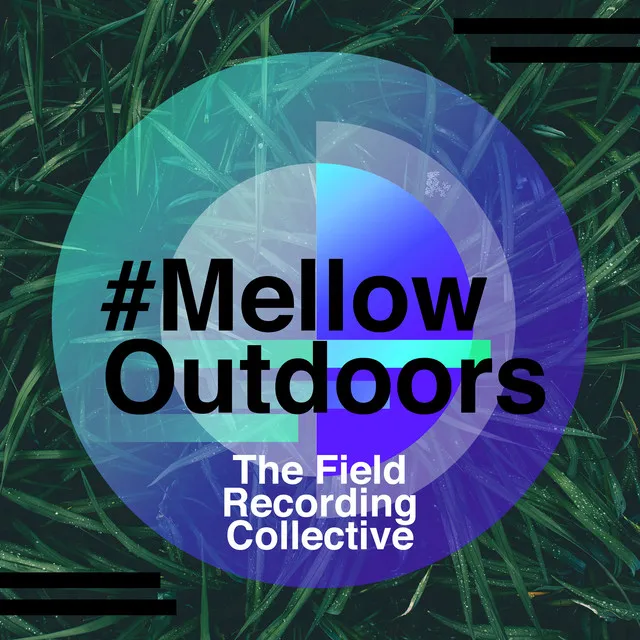 #MellowOutdoors