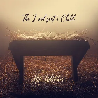 The Lord Sent a Child by Nita Whitaker