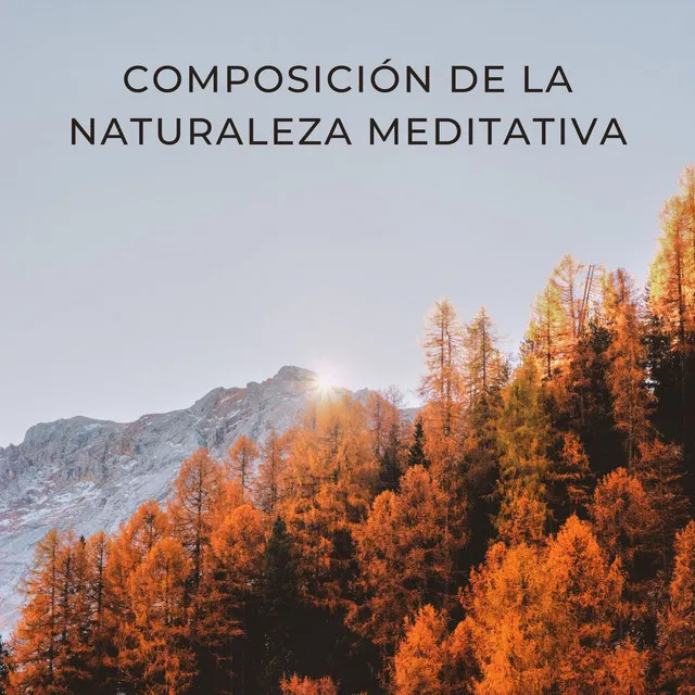 Las meditaciones