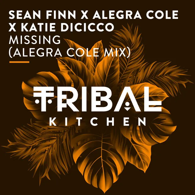 Missing - Alegra Cole Radio Edit