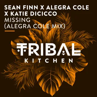 Missing (Alegra Cole Mix) by Katie DiCicco