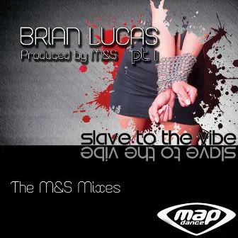 Slave to the Vibe, Pt. 1 (The M&S Mixes) by Brian Lucas