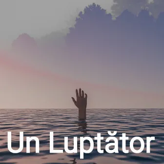 Un Luptător by DICIU