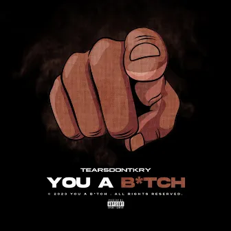 You A Bitch by TearsDontKry