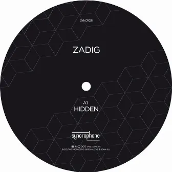 Hidden / Maniac Mansion - EP by Zadig