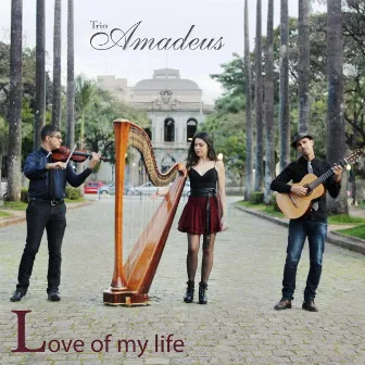 Love of My Life by Trio Amadeus