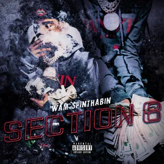 Section 8 by Wam SpinThaBin