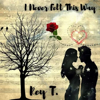 I Never Felt This Way by Rey T.