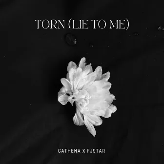 TORN (lie to me) by Cathena